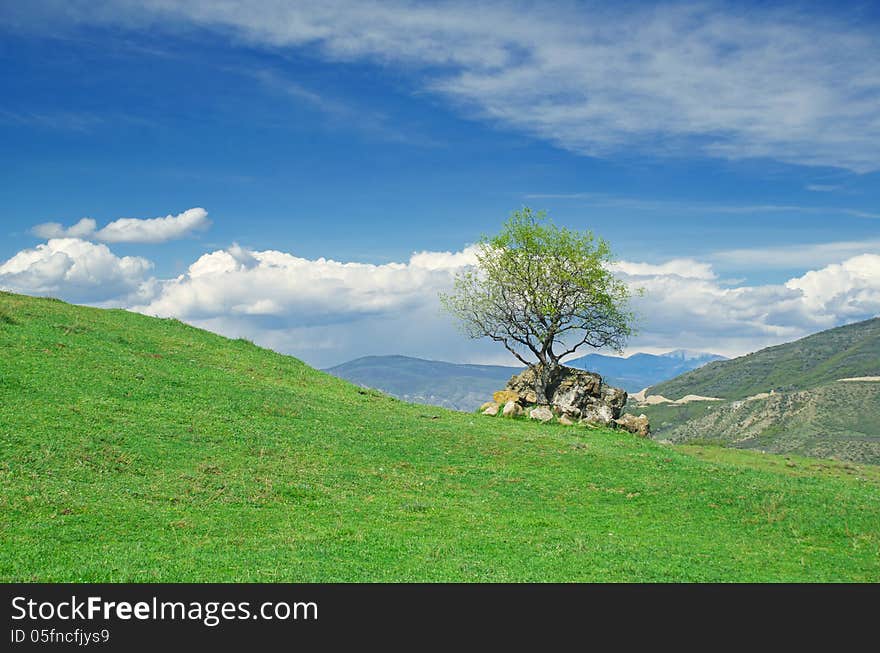 Green rolling hills under blue sky