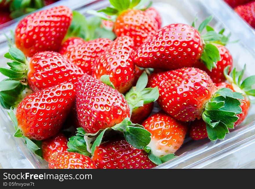 Fresh Strawberries in a market