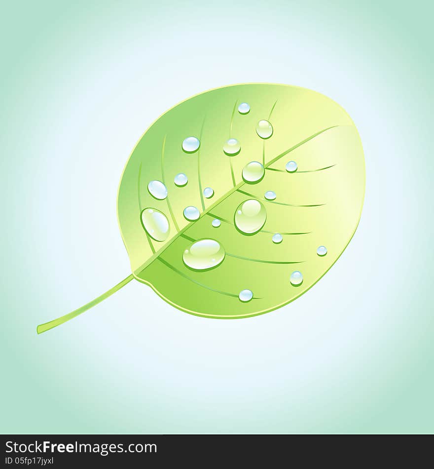 Beautiful tree leaf with dew drops on a light background. Beautiful tree leaf with dew drops on a light background