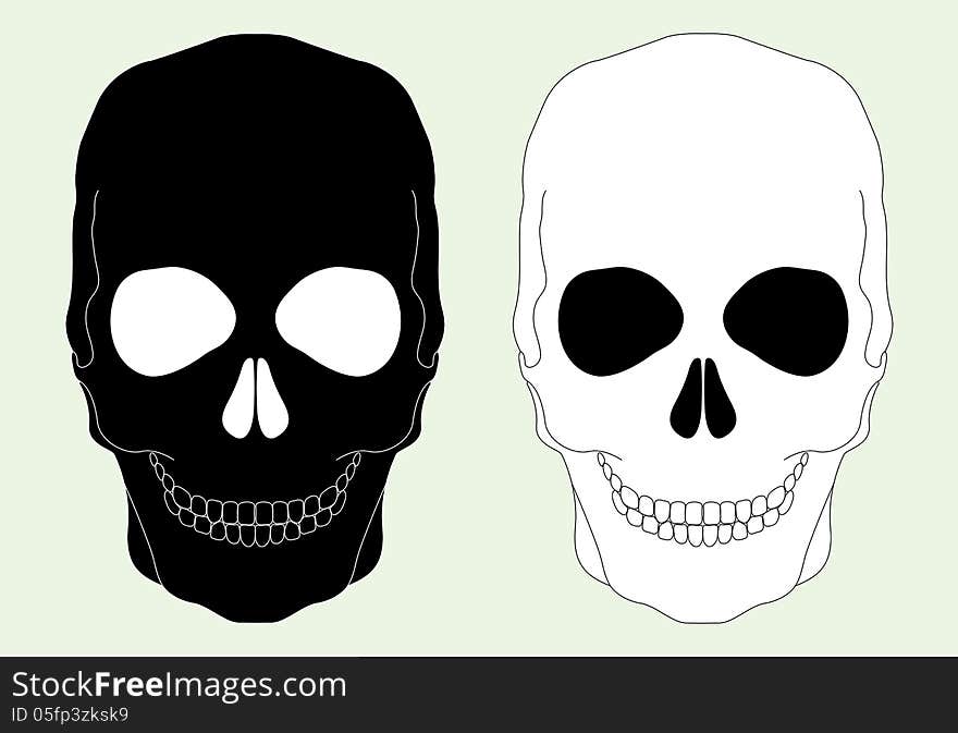 Black and white skull on a light blue background