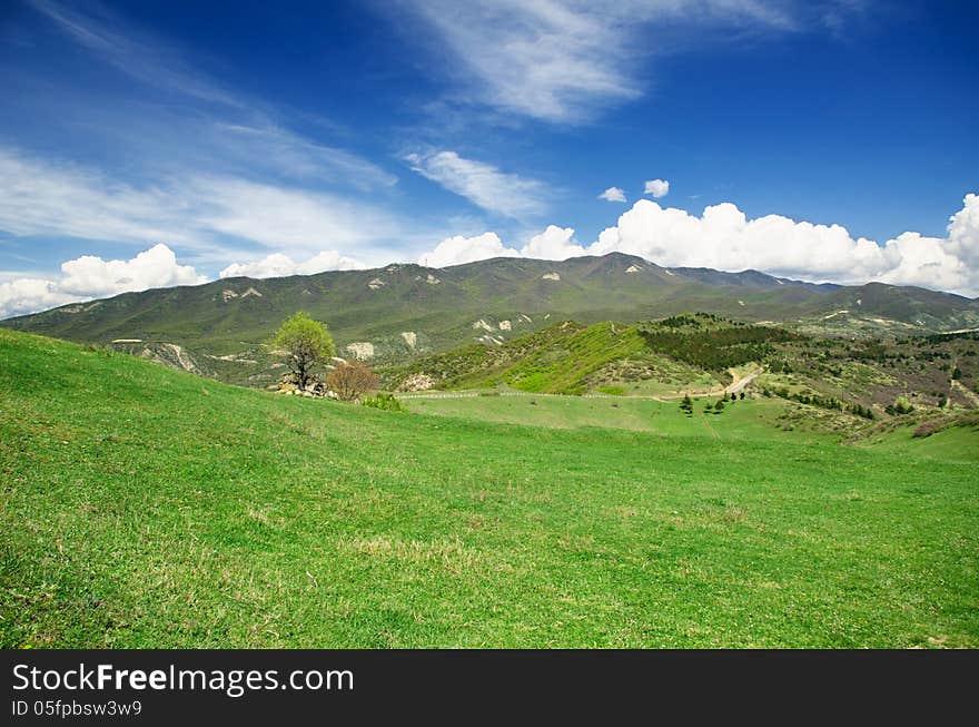 Green meadow with mountains