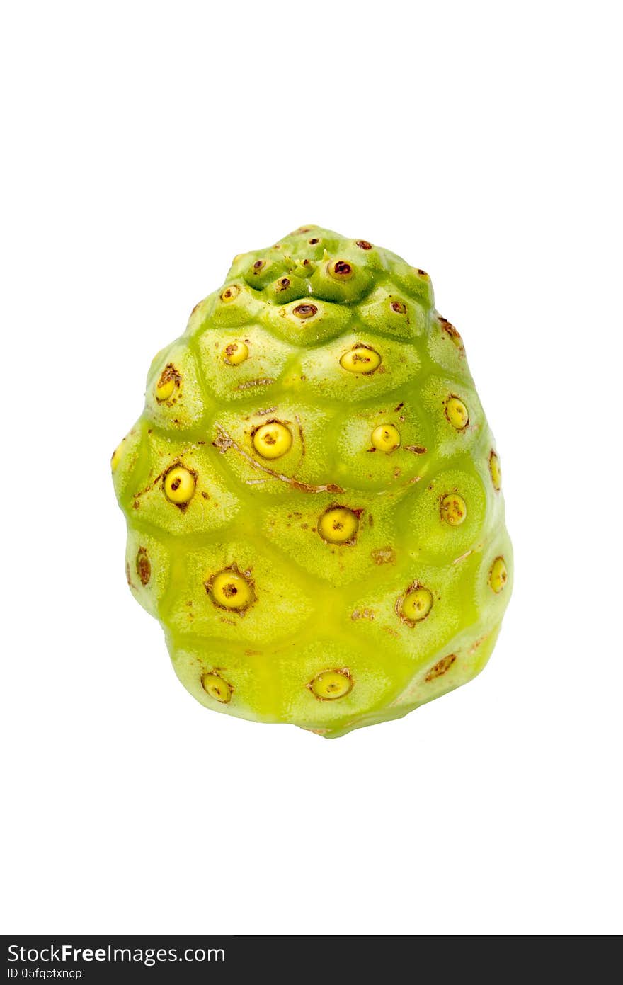 Isolated noni fruit or Morinda fruit