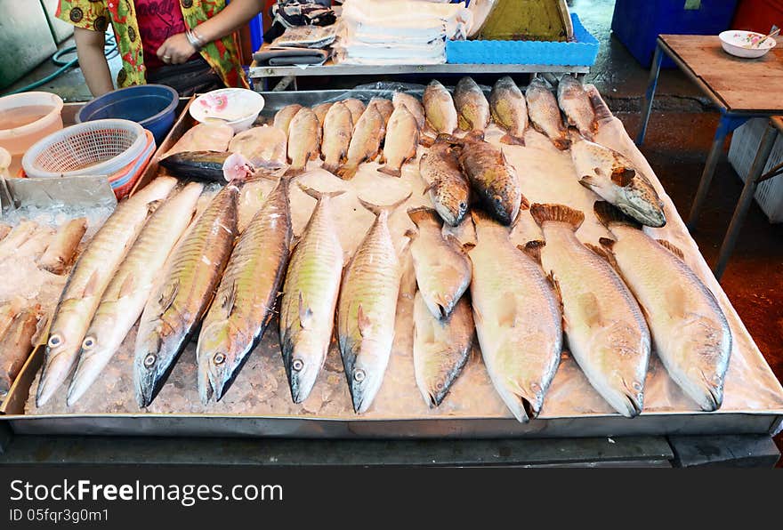 Variety of fresh fish seafood in market, thailand