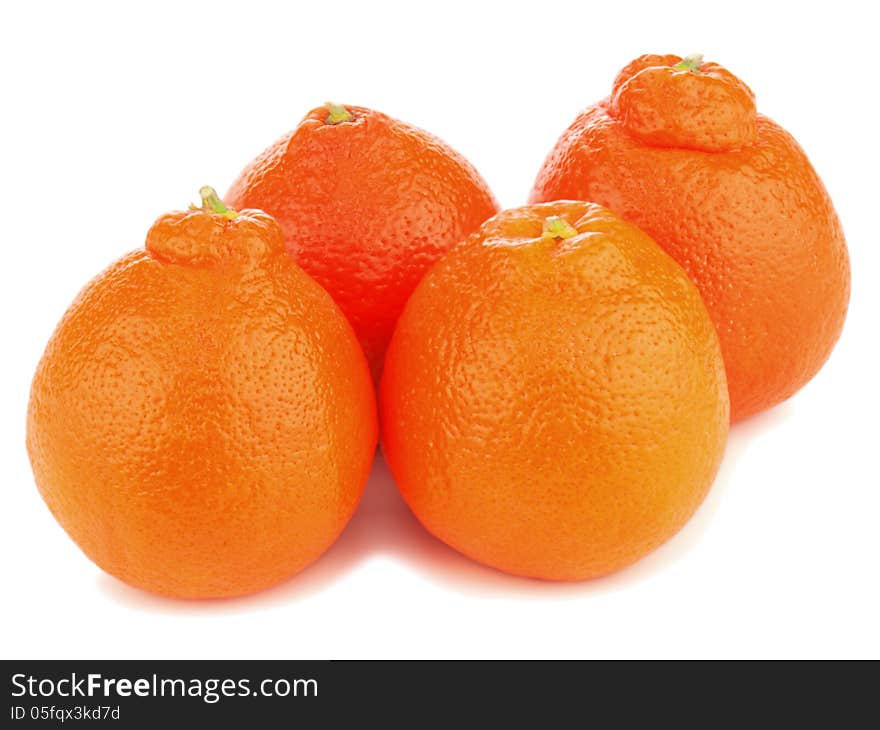 Ripe mineola fruits isolated on white background. Closeup.