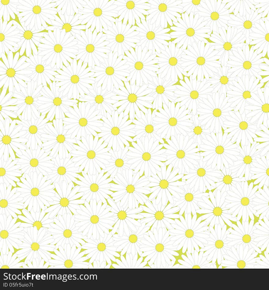 Seamless camomiles pattern