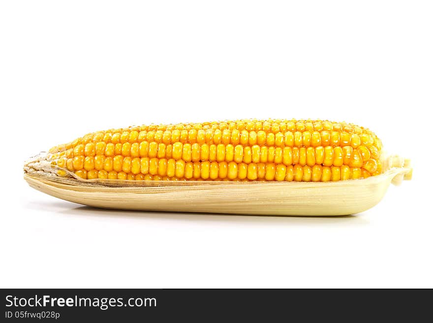 Fresh corn isolated on white background