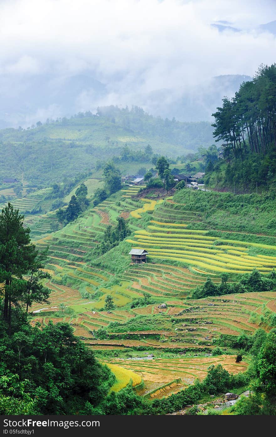 Stilt house on the rice terraced field with the mountains and clouds at background