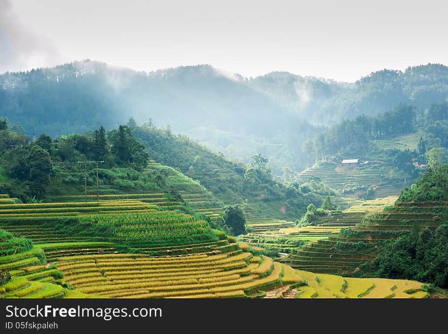 Hils of rice terraced field with mountains and clouds at backgro