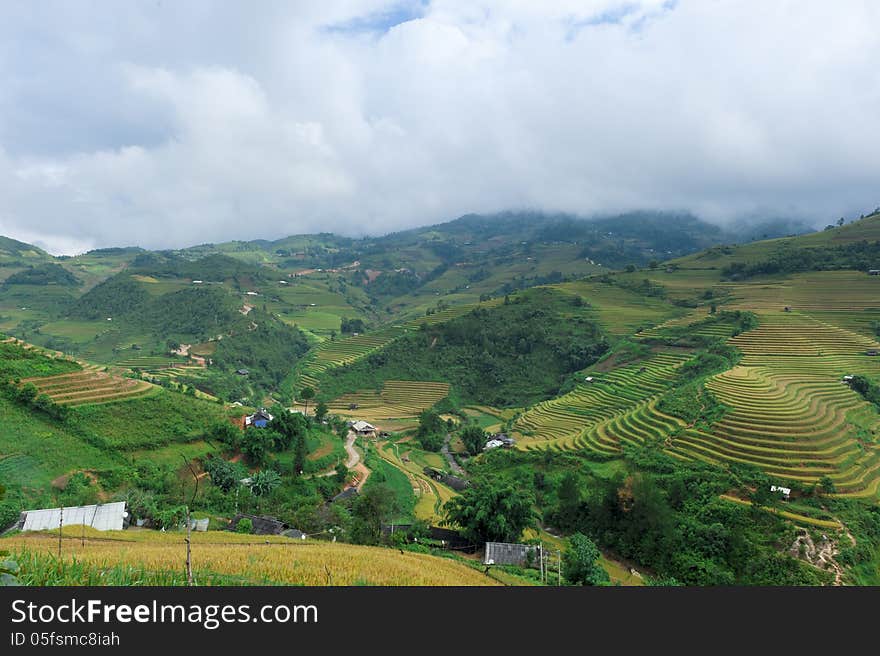 The stilt houses in the valley between the hills of rice fields in Mu Cang Chai, Vietnam. The stilt houses in the valley between the hills of rice fields in Mu Cang Chai, Vietnam