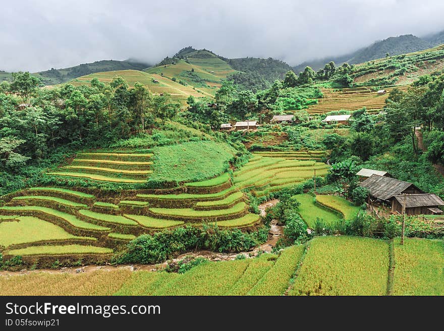 Stilt houses on the hills of rice terraced fields