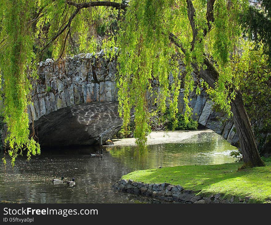 Tranquil scene with antique stone bridge over the pond in the park. Tranquil scene with antique stone bridge over the pond in the park