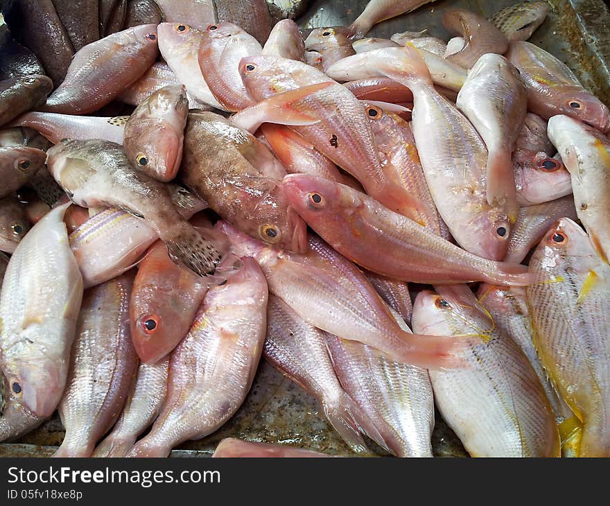 Fresh raw fish on street market