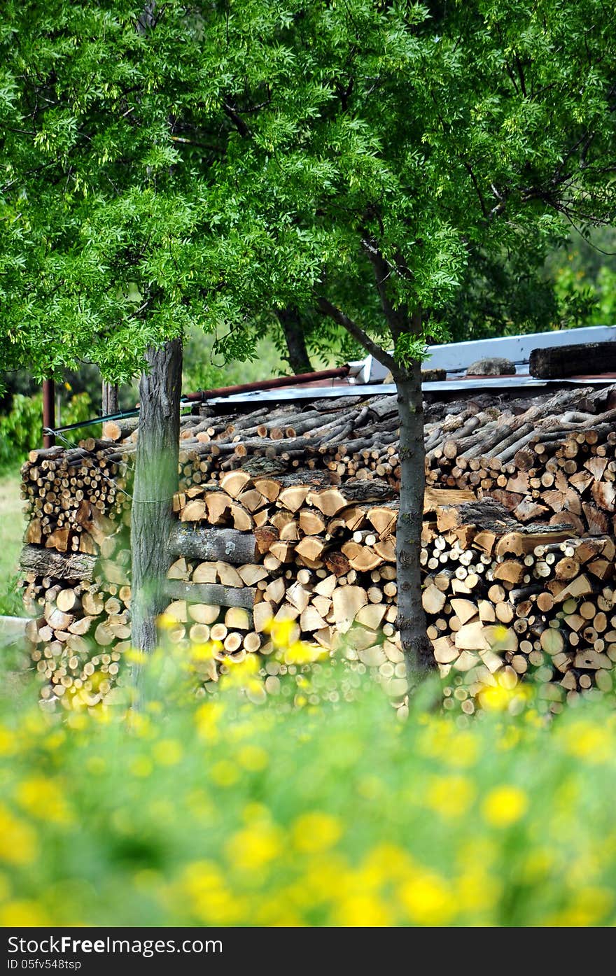 Cut wood storing in countryside. Cut wood storing in countryside