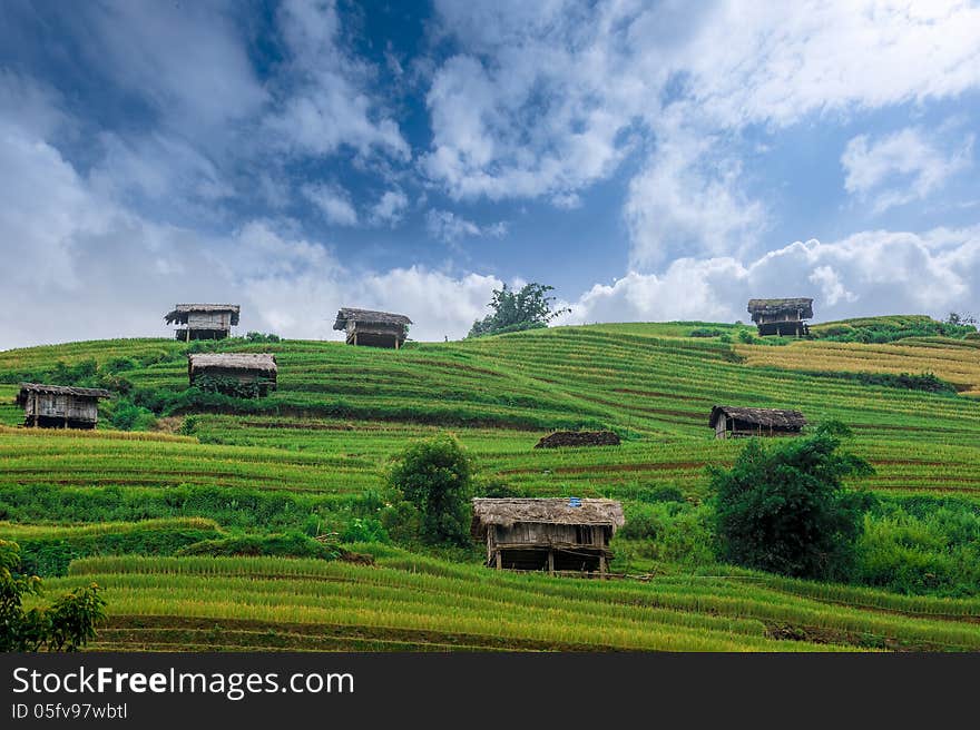 Stilt houses on the hill of rice terraced fields in Mu Cang Chai, Vietnam