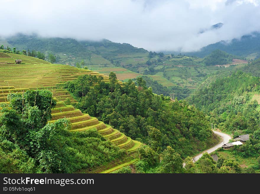 Hils of rice terraced field with mountains and clouds at background