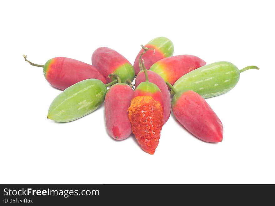 Ivy gourd fruit or Coccina Grandis isolated on white background