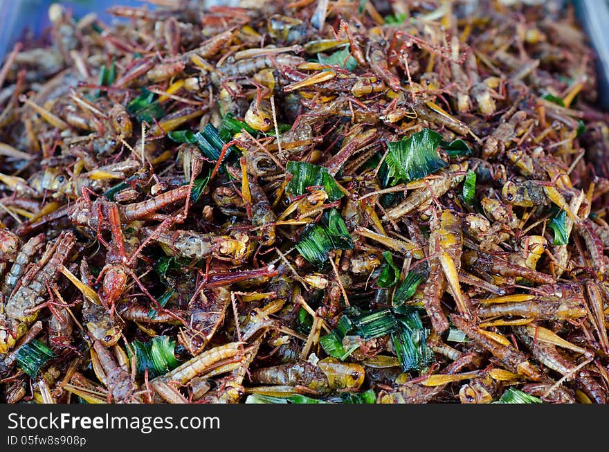 A pile of deep fried grasshoppers - a snack often used in Asia