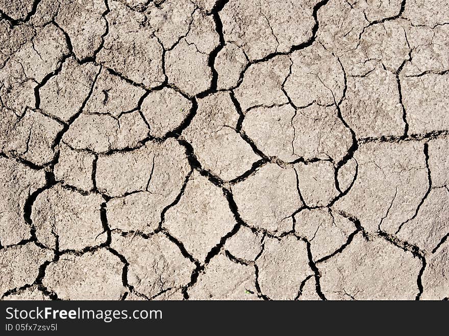 The soil was dry and cracked at the bottom of a dried-up lake. The soil was dry and cracked at the bottom of a dried-up lake