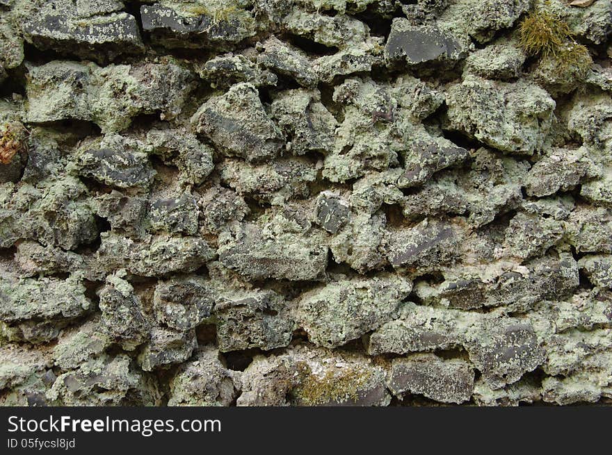 The photograph shows an old moss-covered wall, made of gray stones. The photograph shows an old moss-covered wall, made of gray stones.