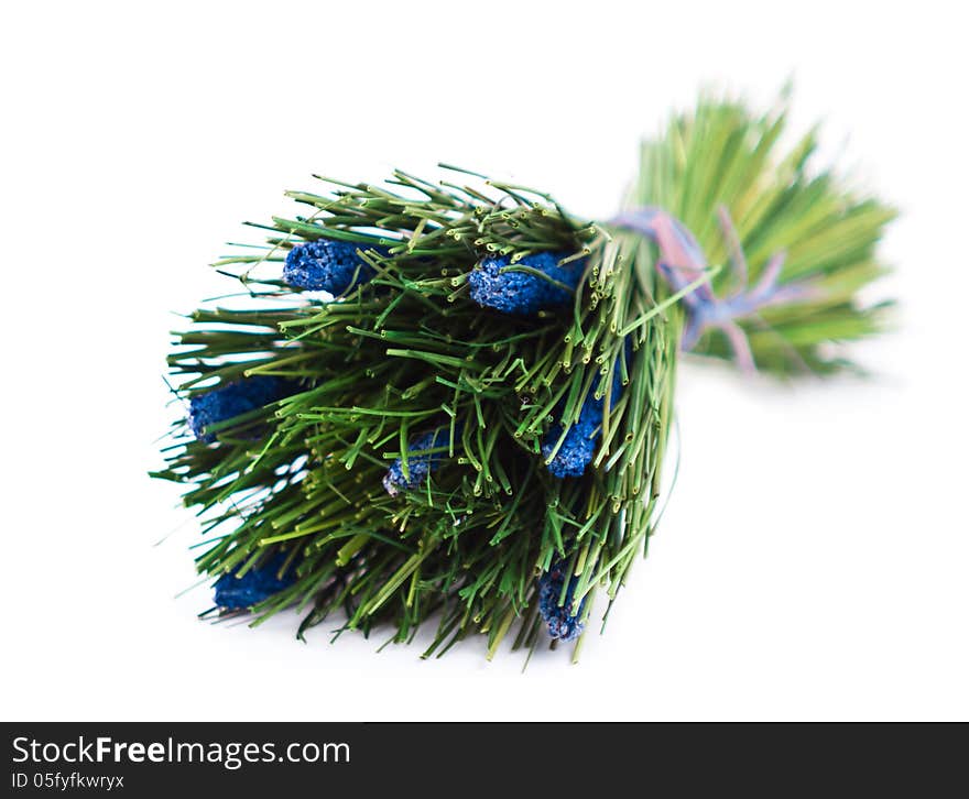 A bunch of lavender flowers on a white background