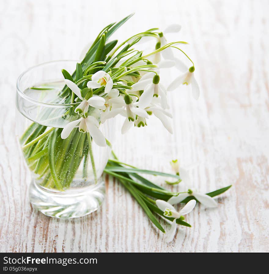 Bouquet Of Snowdrop Flowers