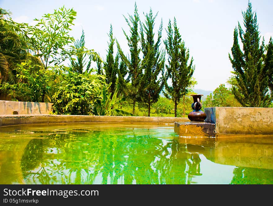 Exotic botanical garden in the North of Thailand