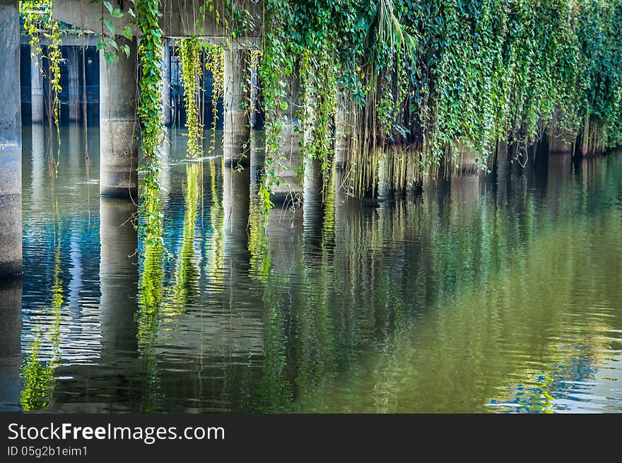 Reflected Pillars and Plants