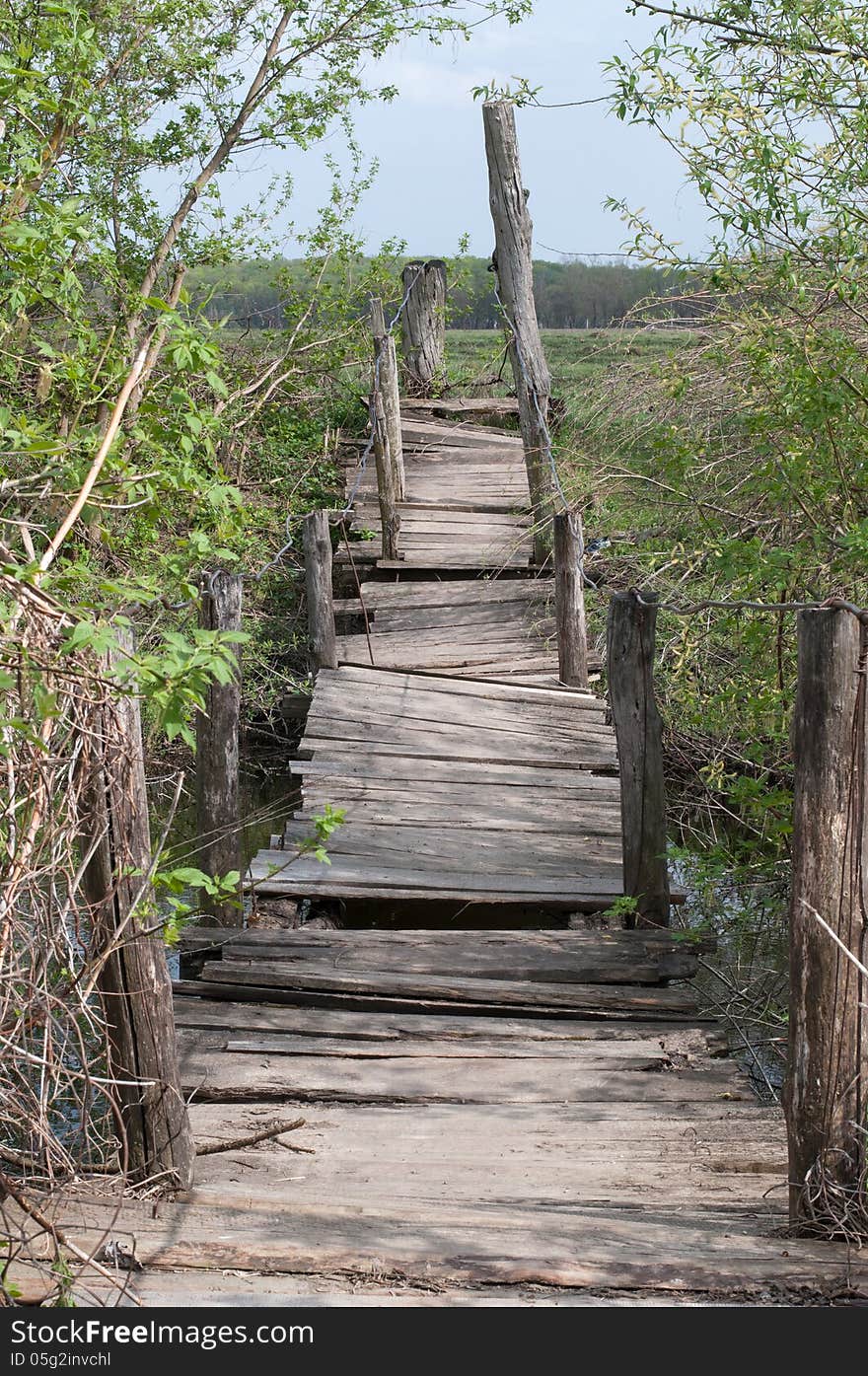 Old wooden bridge with trees