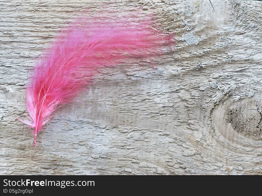 Red fluffy feather on untreated wooden board. Red fluffy feather on untreated wooden board