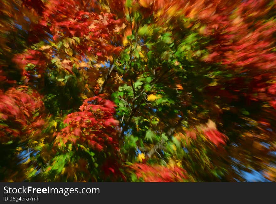 Fall colors flying by on an autumn day