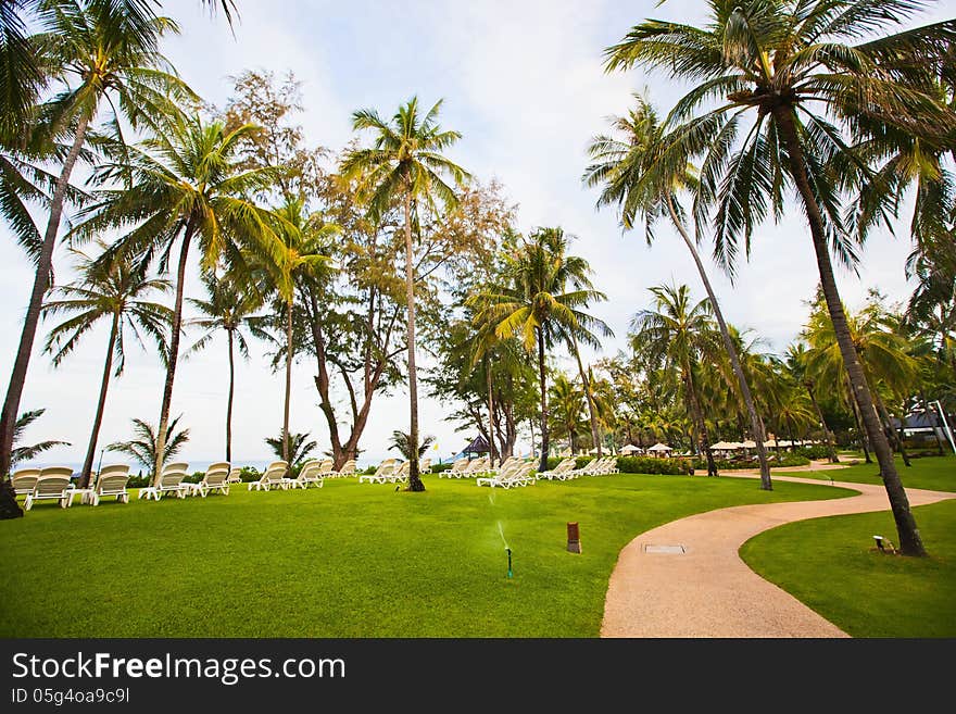 Palm Trees In An Expensive Hotel