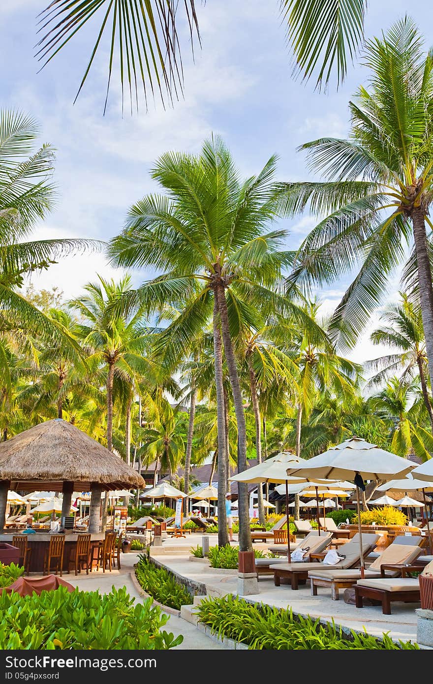 Palm trees in an expensive hotel