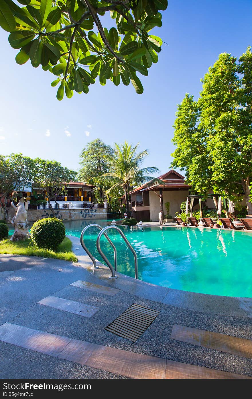 Pool In Tropical Garden