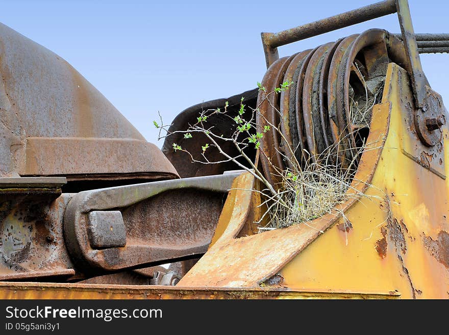 A Plant Growing On An Old Coal Excavator