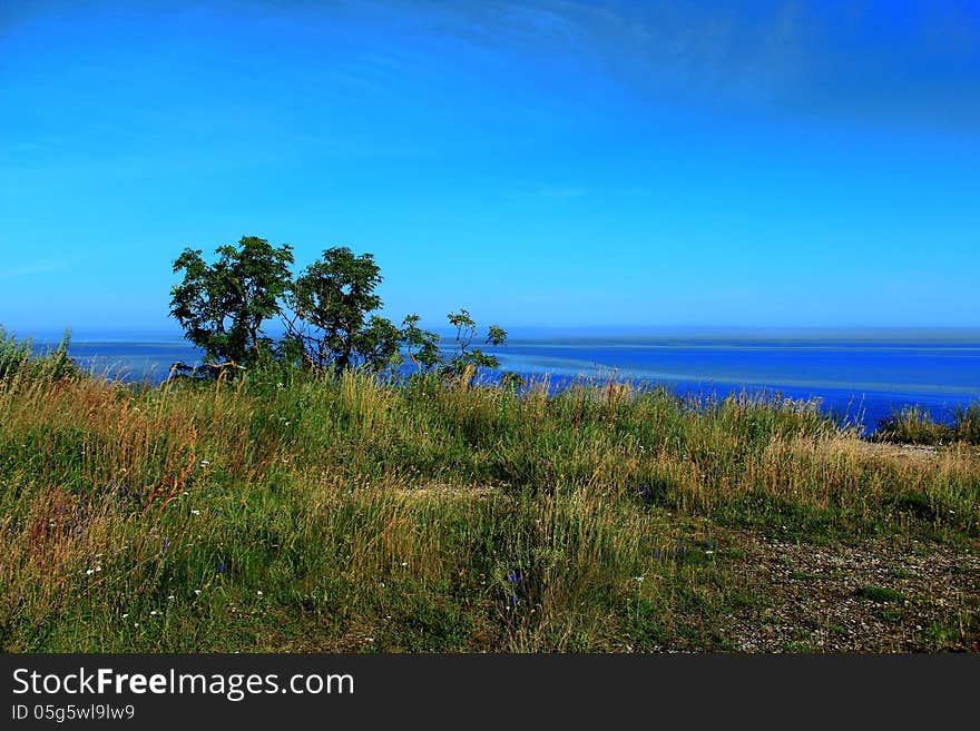 Baltic Sea coast