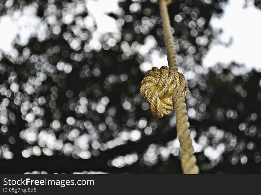 Knot bokeh