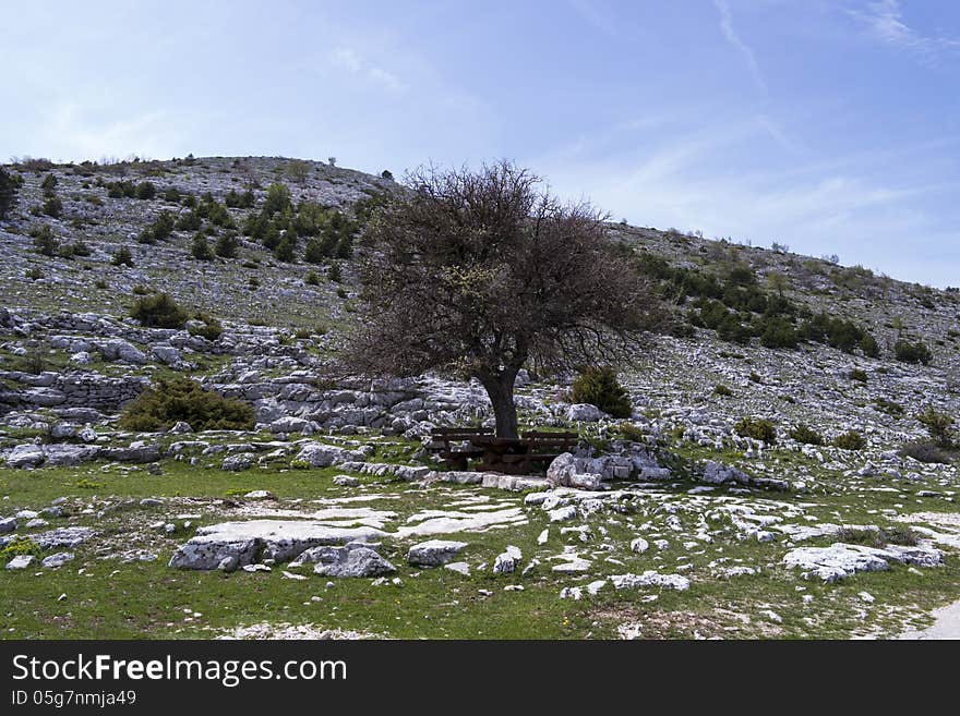 A beautiful on mountain Biokovo. A beautiful on mountain Biokovo