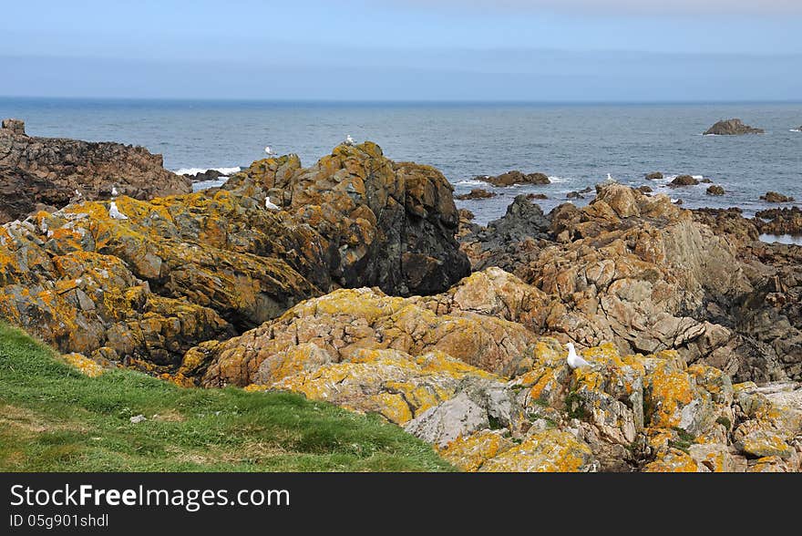 Coastal scene on the Channel Island of Guernsey looking out over the English Channel. Coastal scene on the Channel Island of Guernsey looking out over the English Channel