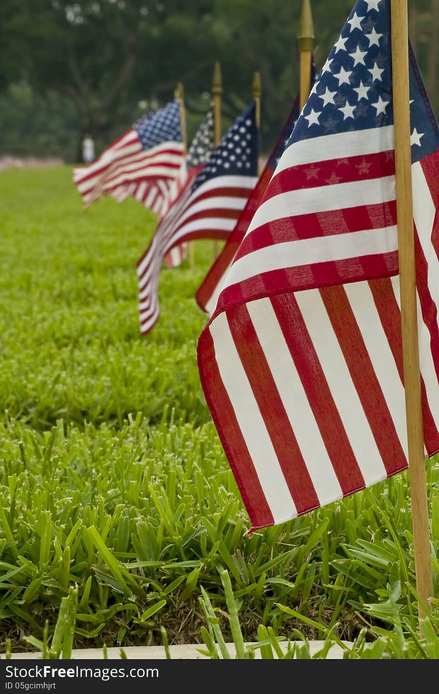 Detail of a line of small American flags