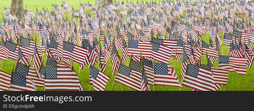 Small American flags at a cemetery