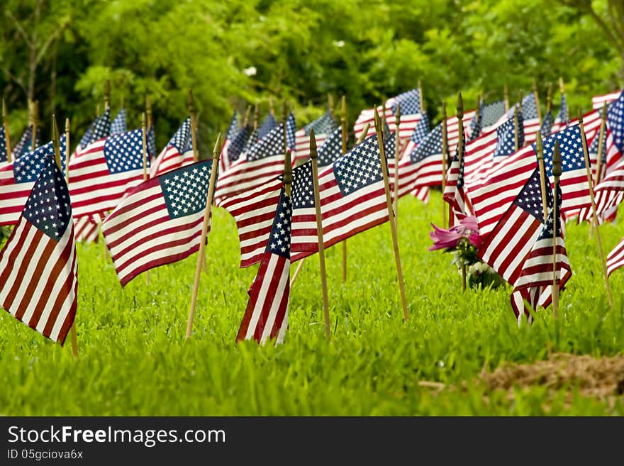 Small American flags at a cemetery