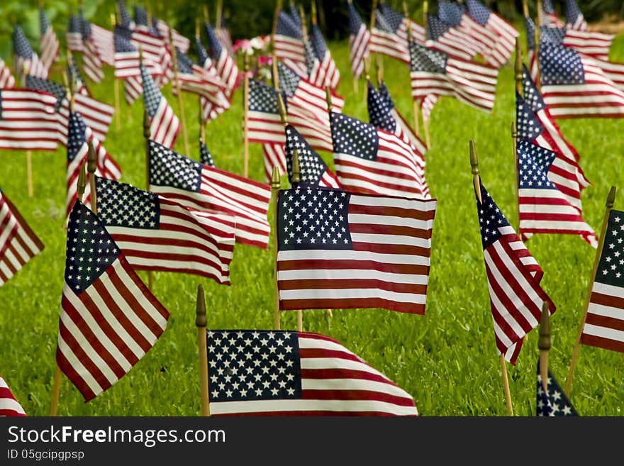 Small American flags at a cemetery