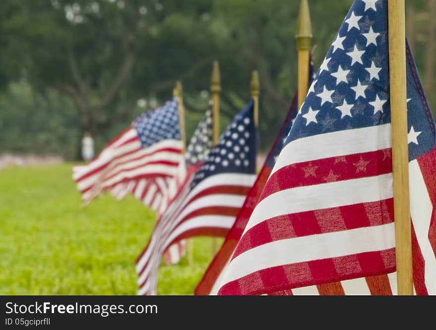 Small American flags at a cemetery