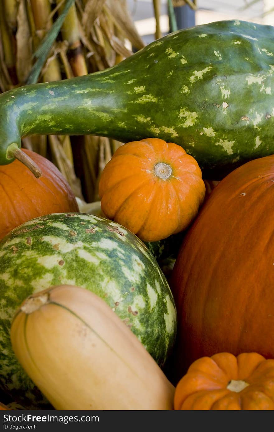 Close up of several gourds.