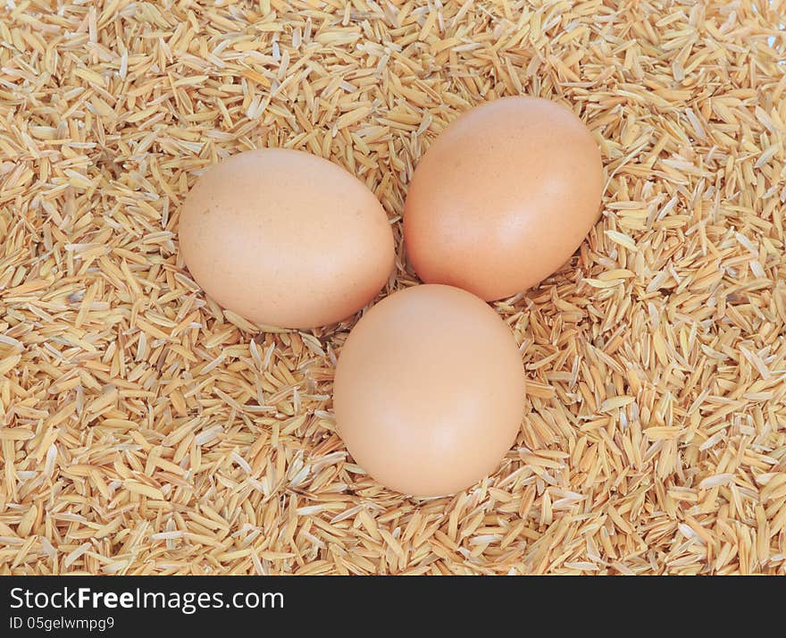 Egg on rice husk background