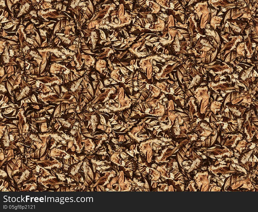 Photo Illustration of a pattern of dried leaves. Photo Illustration of a pattern of dried leaves.