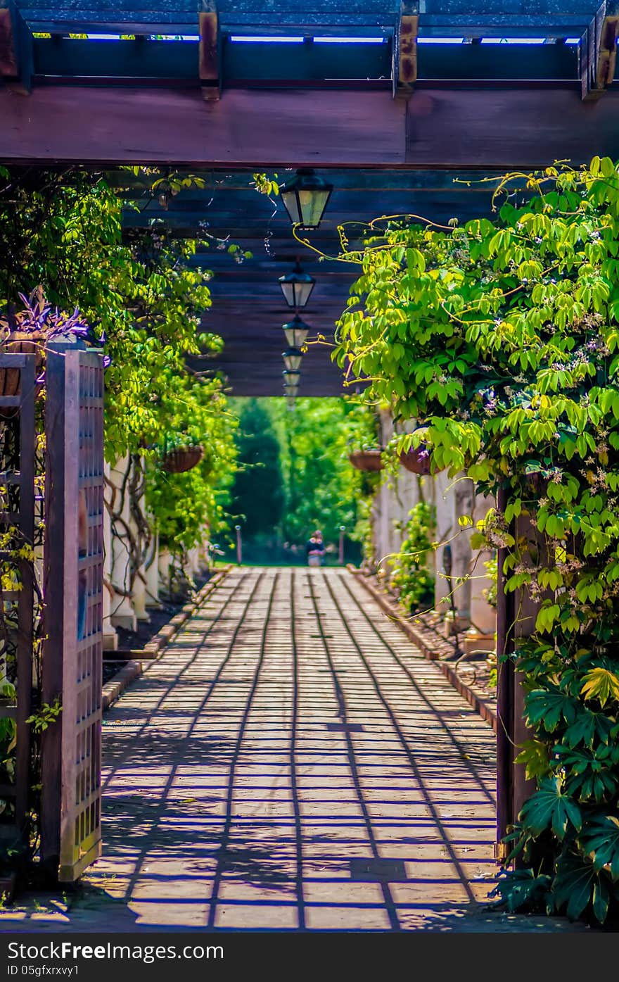 Garden Lattice Walkway With Stone Pavers And Vine Flowers Throug