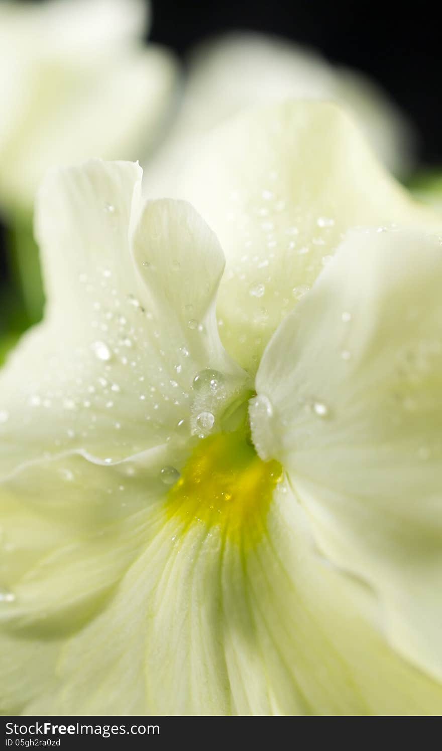 Water drop macro