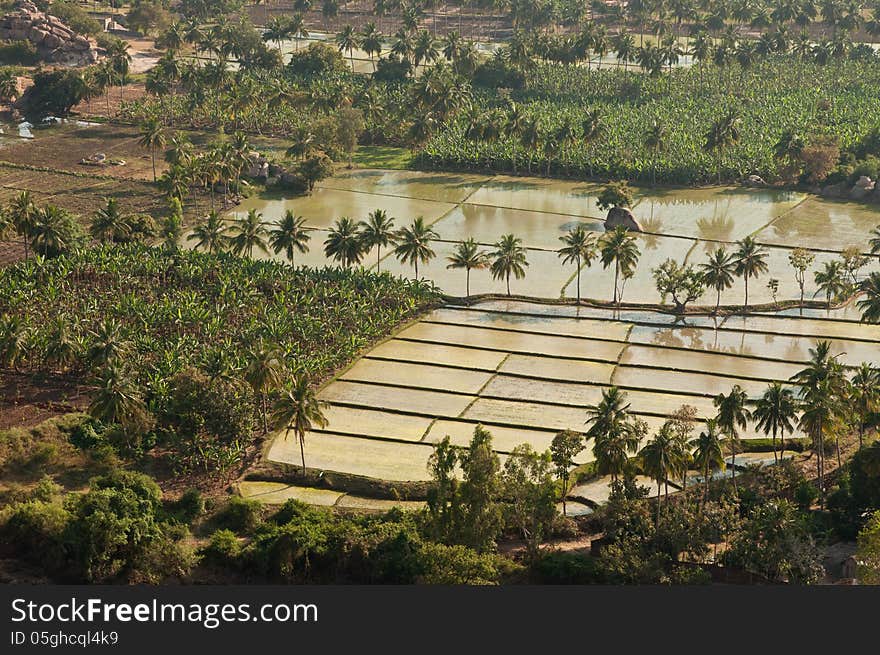 Landscape in India