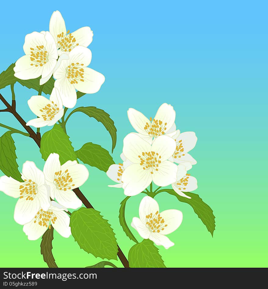 Vector illustration with cherry blossom for greeting card. Vector illustration with cherry blossom for greeting card.